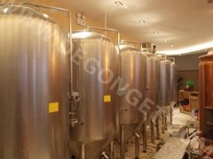 100L conical beer brewing equipment