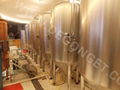 100L conical beer brewing equipment  2