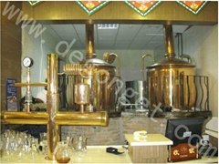  500L beer brewing equipment/beer brewing system