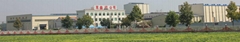 SHANDONG SHUANGXIN NEW SHEET CO., LTD SHANDONG SHUANGXIN NEW SHEET CO., LTD