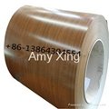 Brick wood marble  pattern printed PPGI  prepainted steel coil Russia