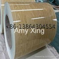 Brick wood marble  pattern printed PPGI  prepainted steel coil Russia