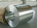 SNI AZ150GSM g550 GALVALUME STEEL COIL  1