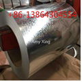 HOT DIP GALVANIZED STEEL COIL 2