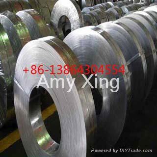 GALVANIZED STEEL STRIP 2