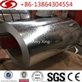 SGCC DX51D HDGI STEEL COIL 4