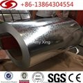 SGCC DX51D HDGI STEEL COIL