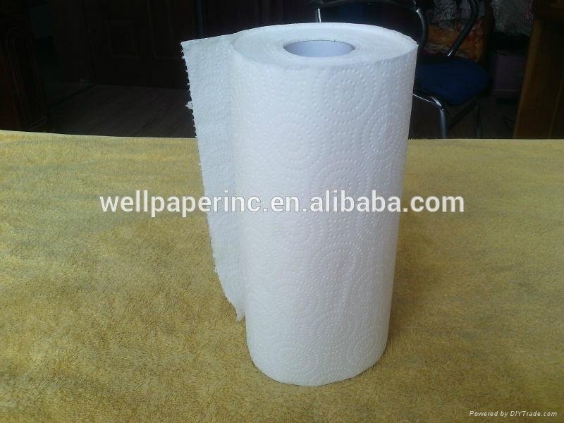 Towel Kitchen Roll White 20x28cm 2