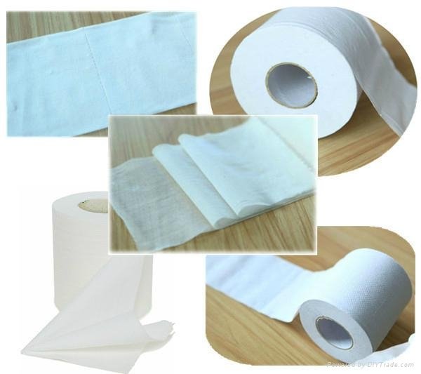 Customize Toilet Paper 4