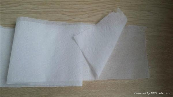 Customize Toilet Paper 3