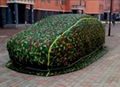 Hail protection car cover 2