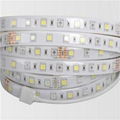 SMD 5060 LED Strip Light