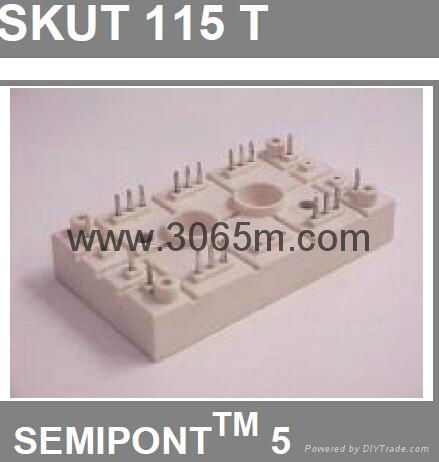 西門康晶閘管 SKUT115T 4