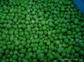 Frozen Green Pea