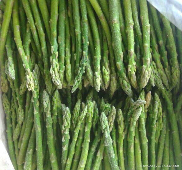 Frozen Green Asparagus  2