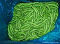 Frozen Sugar Snap Pea