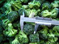 Frozen broccoli 1