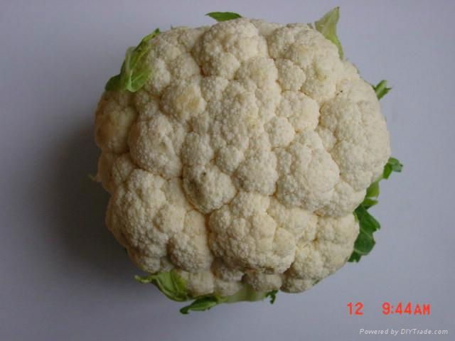 Frozen cut cauliflower