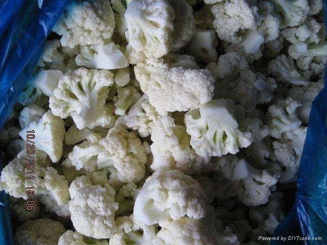 Frozen cut cauliflower 2