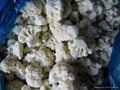 Frozen cut cauliflower 2