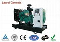 50Hz / 60 Hz Open Diesel Generator Set Power 16KW~220KW 1