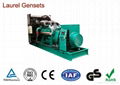 800kW Open Diesel Generator Engine with Marathon MX AC