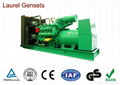 Fuel Consumption Saving Diesel Generator