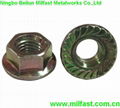 Flange Nuts with High Quality (DIN6923) 1