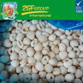 IQF frozen lychee 1