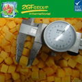 frozen iqf mango 1