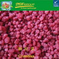 IQF frozen raspberry