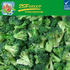 new season IQF deep freeze type china