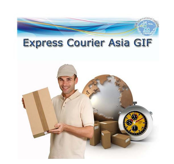 Logistics Service for FCL& LCL as Door to Door  Shipment  to  USA  2