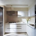 lacquer kitchen cabinet