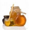 Natural Homogenized Honey 1