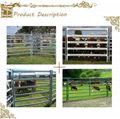 2015 new designed cattle panels, cattle gates, safe horse panels 1