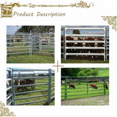 2015 new designed cattle panels, cattle