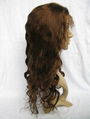 Virgin Brazilian Human Hair Lace Wig Full Lace Wig 4