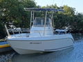QD 20 EX Fiberglass fishing boat
