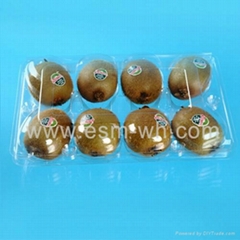 8 cell kiwi-fruit disposable plastic fruit  clamshell