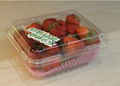 single-used clear plastic  hinged  food container for fruits and vegetables  3