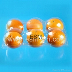 disposable plastic clear food hinged clamshell for fruit 