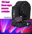 19 PCS rgbw LED bee eye ZOOM moving head