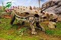New realistic mechanical dinosaur replica for exhibition 5 M ankylosaur 4
