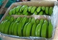 Green Banana