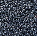 Black beans 1