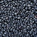 Black beans 2