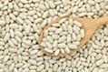 White kidney beans 1