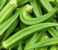 Okra