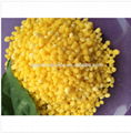 Reagent Grade Magnesium Sulphate CAS